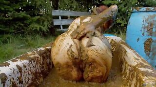 Cooling off with cowshit