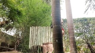 Desperate poop in the backyard