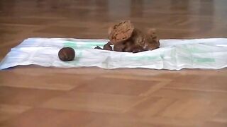 Dirty blonde girl with pink pussy poops