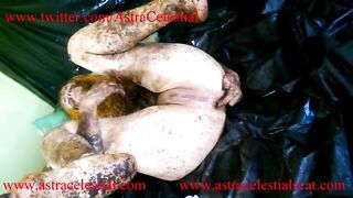 Two shit covered babes in hot scat threesome fuck