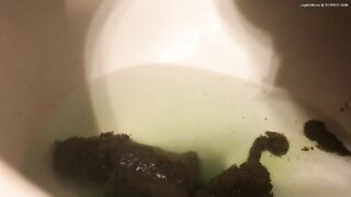 Amazing shit in the toilet