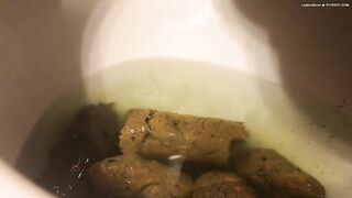 Amazing shit in the toilet
