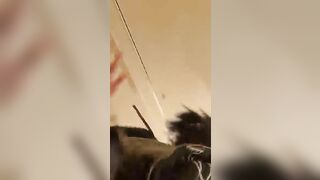 Gorgeous ass of horny milf dropping shit