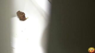 Cute Jap girl with hairy pussy poops