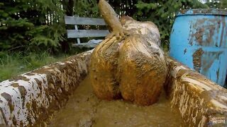 Big booty Lyndra Lynn bathing in Cowshit