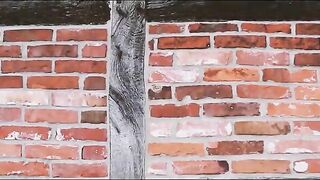 Sticky poop outside the barn