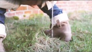 Sticky poop outside the barn
