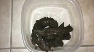 Twitching asshole and bowl cam