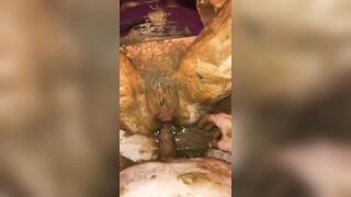 Smearing shit in scat fuck