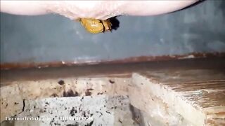 Piss and poop in hot closeup style