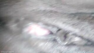 Closeup of ebony poop