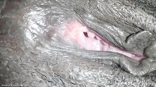 Closeup of ebony poop