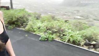 Dirty poop near the road side