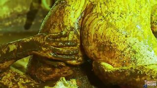 Cowshit scat fuck adventure with Betty and Franky