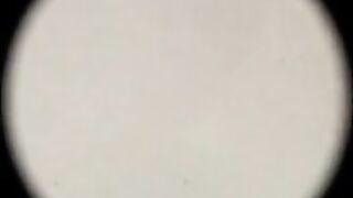 Pooping in the water