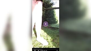 English rose poops in the garden