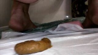 Giant messy shit on the floor