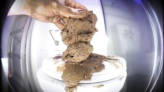Huge messy poops in the toilet seat