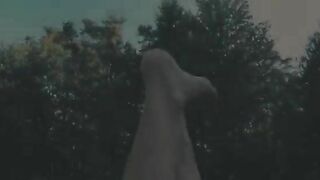 Monster logs birthed in the grass
