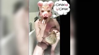 Pigs shit and piss in compilation