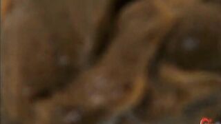 Asian babe shitting on all fours