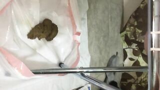 Soft creamy poo on a portable toilet