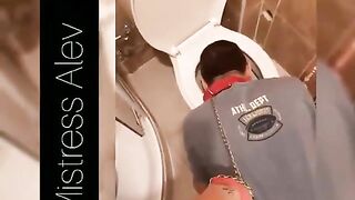 treat from the toilet bowl - EroProfile