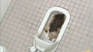 Broken toilet and pile of shit show