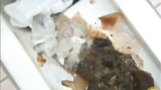 Broken toilet and pile of shit show