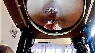 Beautiful Potty Seat Shit