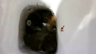 Homemade huge poop