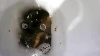 Gorgeous big ass girl and sexy big turd