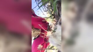 Yummy hot poop on the tall grass