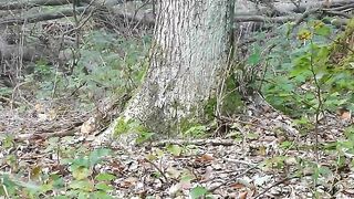 Busty blonde and forest poop