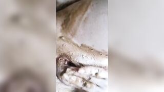 Chubby ass brunette babe masturbates nicely and poo playing