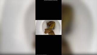 Cute amateur girl and poop