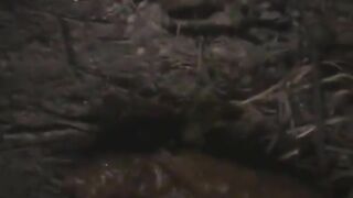 Messy poop in the forest at night