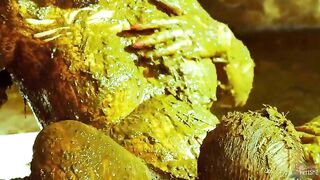 Betty and Frankys Cowshit Adventure Sex