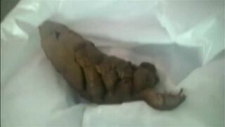 Asian babe shitting fresh load