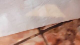 Big poop drop on the paper towel