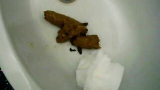 Big Messy Surprise Turd In Bidet