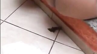 Nasty Brazilian girls shitting near the pool