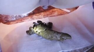 Compilation of constipated poop