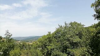 Woman shits and pisses outdoors