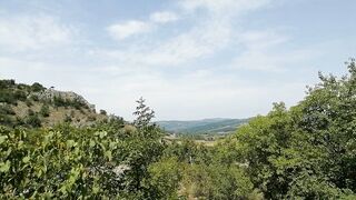 Woman shits and pisses outdoors