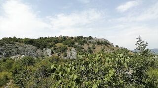 Woman shits and pisses outdoors