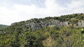 Woman shits and pisses outdoors