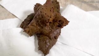 Big Potty Chair & Shit