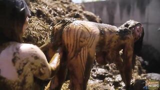 Manure Sports Dunghill Climbing