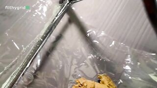 Sophias Potty Chair Shit Closeup